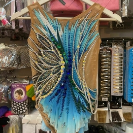Blue light blue leotard